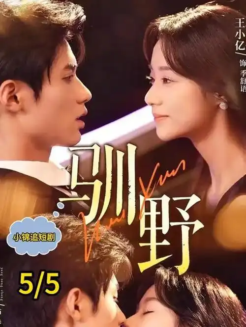 暗涌之城 热播电视剧全集